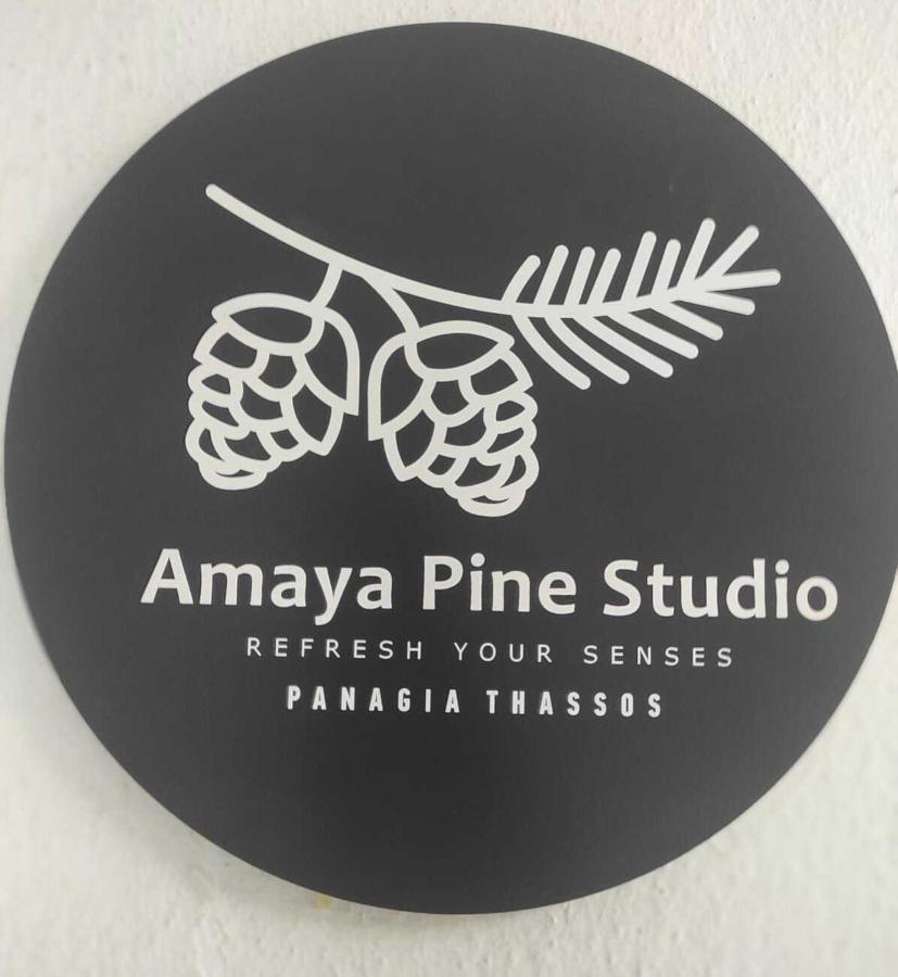 Amaya Pine Studio Panagia  Exteriér fotografie