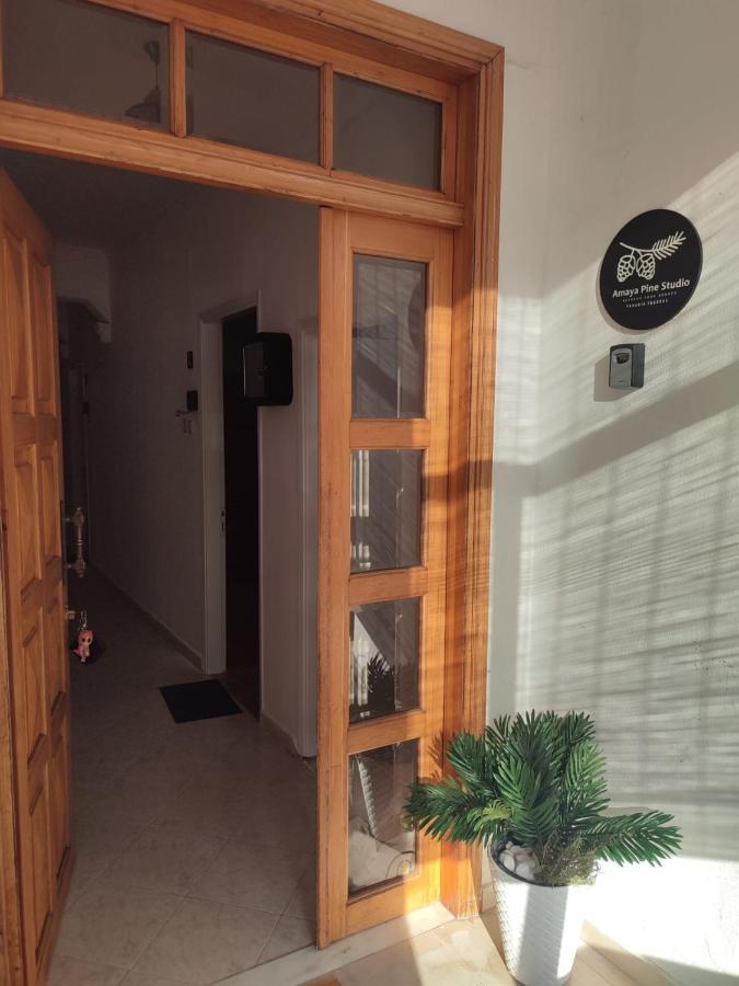 Amaya Pine Studio Panagia  Exteriér fotografie